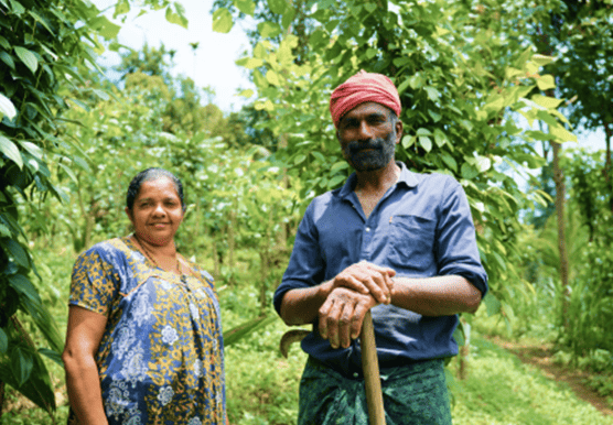 jaivagramam image